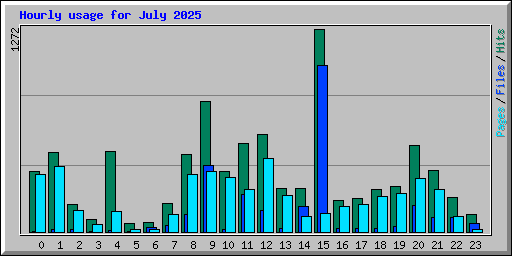 Hourly usage for July 2025