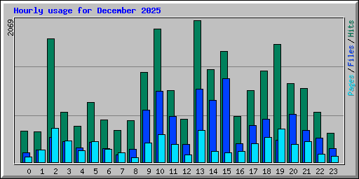 Hourly usage for December 2025